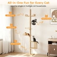 thumbnail image 4 of Heynemo Floor to Ceiling Cat Tree Tower Adjustable Height Multi-Level with Acrylic Capsule Sisal Scratching Posts Stable Stylish for Kittens & Large Cats, 4 of 7
