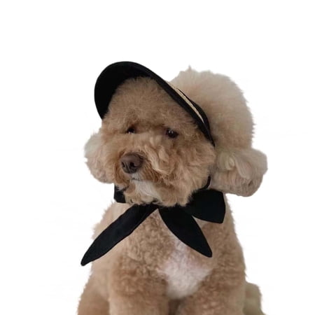 Handmade Straw Dog Hat & Visor - Adjustable for Small Dogs w/Ear Holes Chin Strap | Beach-Ready.