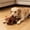 9#Brown, variant on Plush Squeaky Pet Toy for Cats Dogs, Soft Interactive Chew Companion Relieve Boredom, Anxiety Separation Relief Squeaker Teasing Toy, Multi Scene Cozy Play Training for Indoor Pets