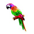 thumbnail image 4 of Colorful Artificial Parrots Figurines Sculpture Animal Photo Props Hanging Miniature DIY Model For Yard Decoration style B, 4 of 8