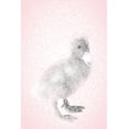 thumbnail image 2 of Fay, Mela 13x18 Gold Ornate Wood Framed with Double Matting Museum Art Print Titled - Pink Duckling I, 2 of 4