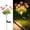 Pink, variant on Solar Flowers Lights,Solar-Powered Outdoor Light with Blooming Flowers, Waterproof Lights for Outside Yard, Garden, Pathway, Walkway, Patio, Lawn, Cemetery, Grave Decor