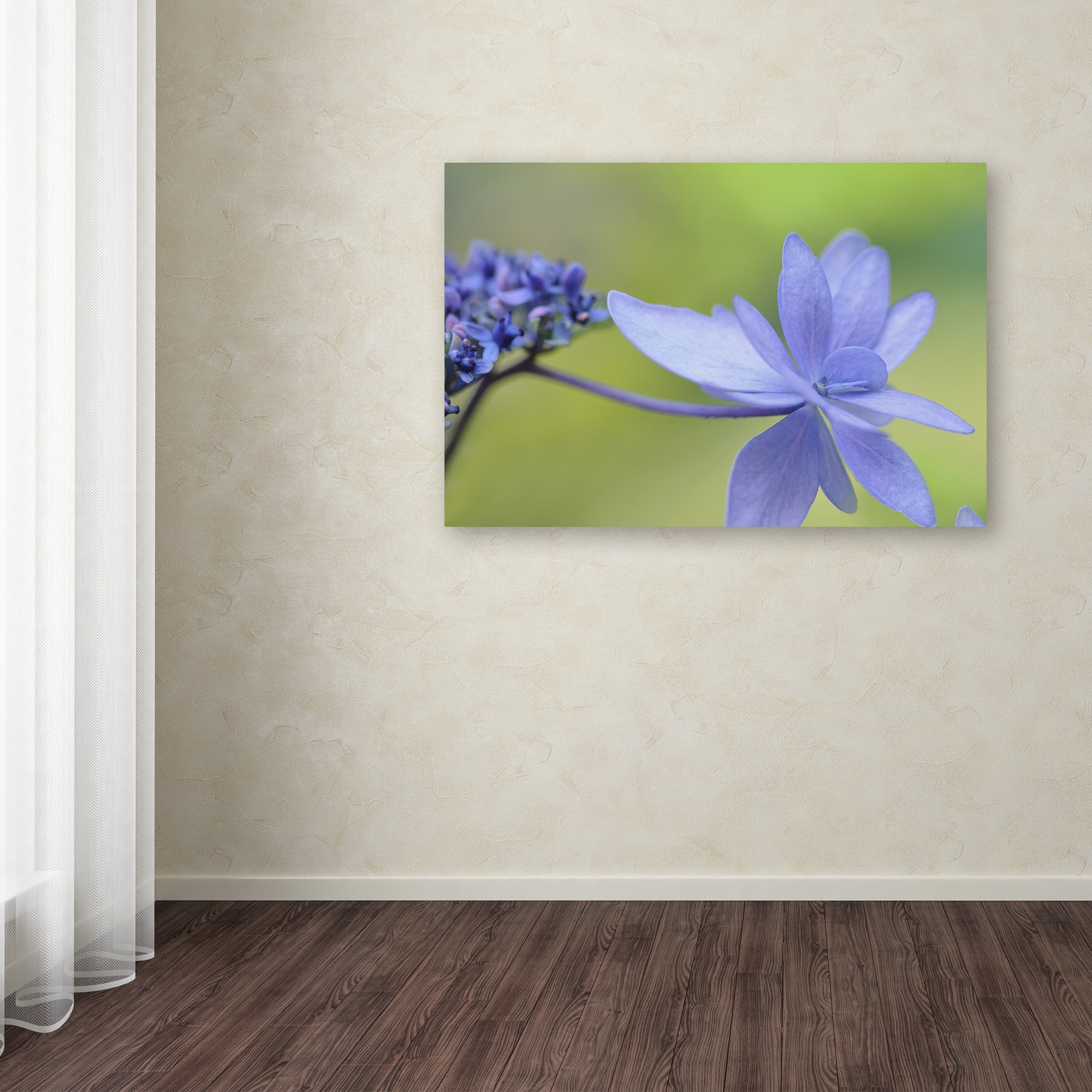Trademark Fine Art 'Blue Hydrangea' Canvas Art by Cora Niele
