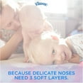 thumbnail image 2 of Kleenex Anti-Viral Facial Tissue, 3-Ply, 68 Sheets Per Upright Box, 2 of 8