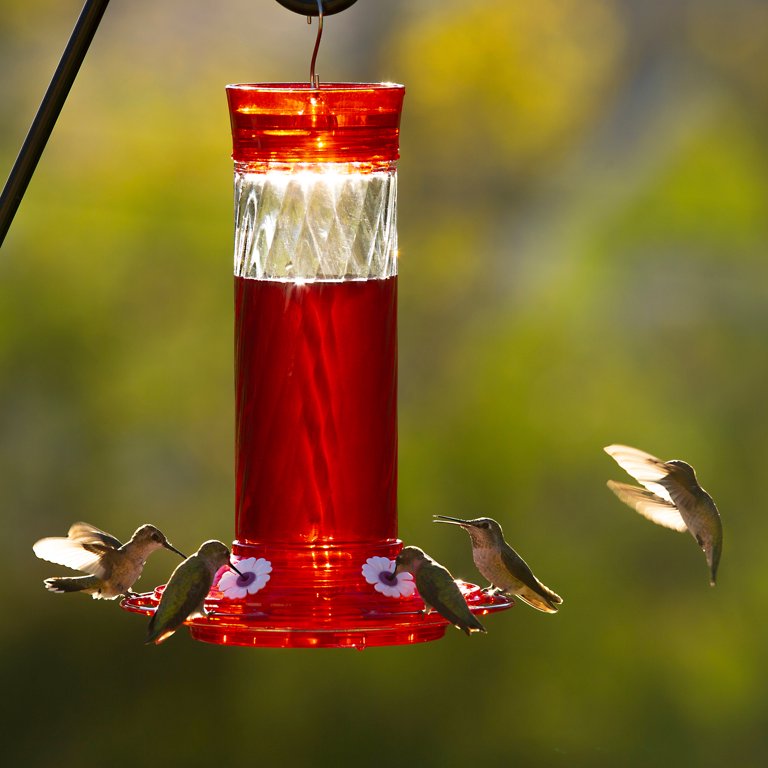 More Birds Diamond Hummingbird Feeder, 30-Oz Nectar Capacity