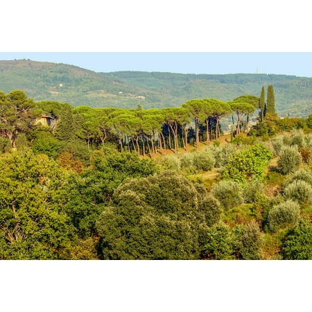 Italy Tuscany Toscano Italian - Canvas Print Toscana Landscape Italy Chianti Tuscany Stretched Canvas 10 x 14