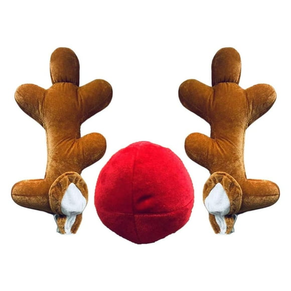 Car Antlers And Red Nose