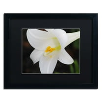 Trademark Fine Art "Easter" Canvas Art by Monica Mize, Black Matte, Black Frame