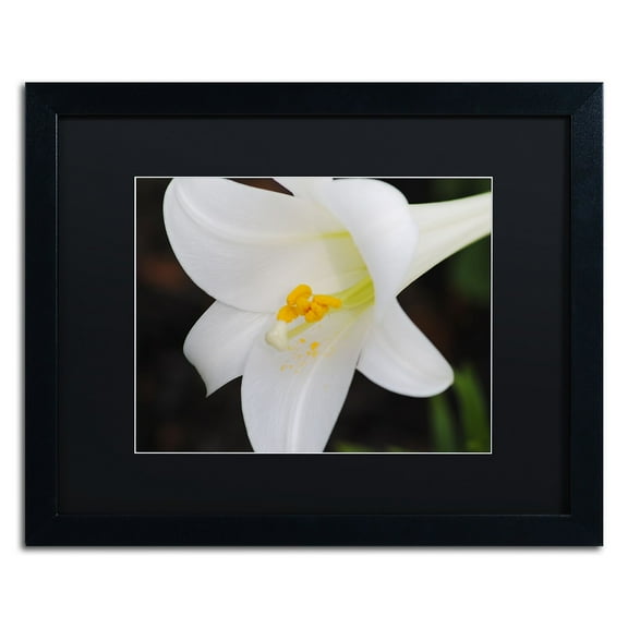 Trademark Fine Art "Easter" Canvas Art by Monica Mize, Black Matte, Black Frame