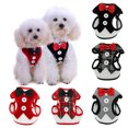 thumbnail image 2 of Conjunto de arnés y correa para cachorros y gatos, chaleco transpirable para mascotas, arnés para perros pequeños, conejos, vestido de malla, cinturón de pecho con lazo, collar para chihuahua, 2 of 5