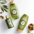 thumbnail image 4 of Garnier Whole Blends Replenishing Shampoo with Virgin-Pressed Olive Oil & Olive Leaf Extracts, 4 of 5