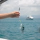 thumbnail image 5 of Señuelo de pesca suave cebos de gusano artificiales para lubina accesorios de pesca de trucha 50 Uds., 5 of 7