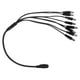 thumbnail image 1 of Divisor Splitter Corriente Energia Secucore 8 Salidas Video Cctv SPL8, 1 of 2