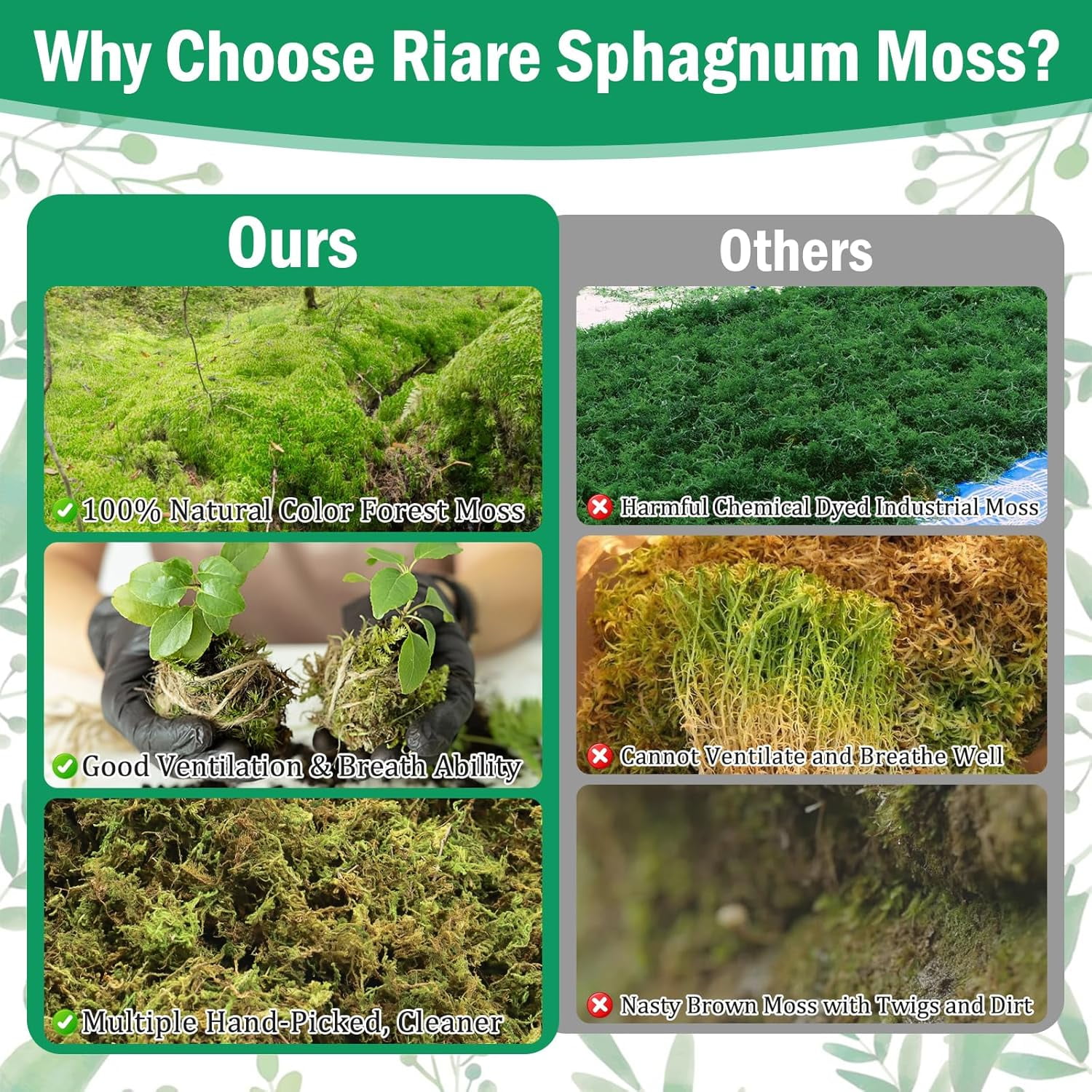 2.8LBS Premium Sphagnum Moss for Plants- 55QT Natural Dried Plant Moss for Potted Plants, Orchid Moss for Repotting, Soft Green Decorative Moss for Succulents, Reptiles & DIY Crafts