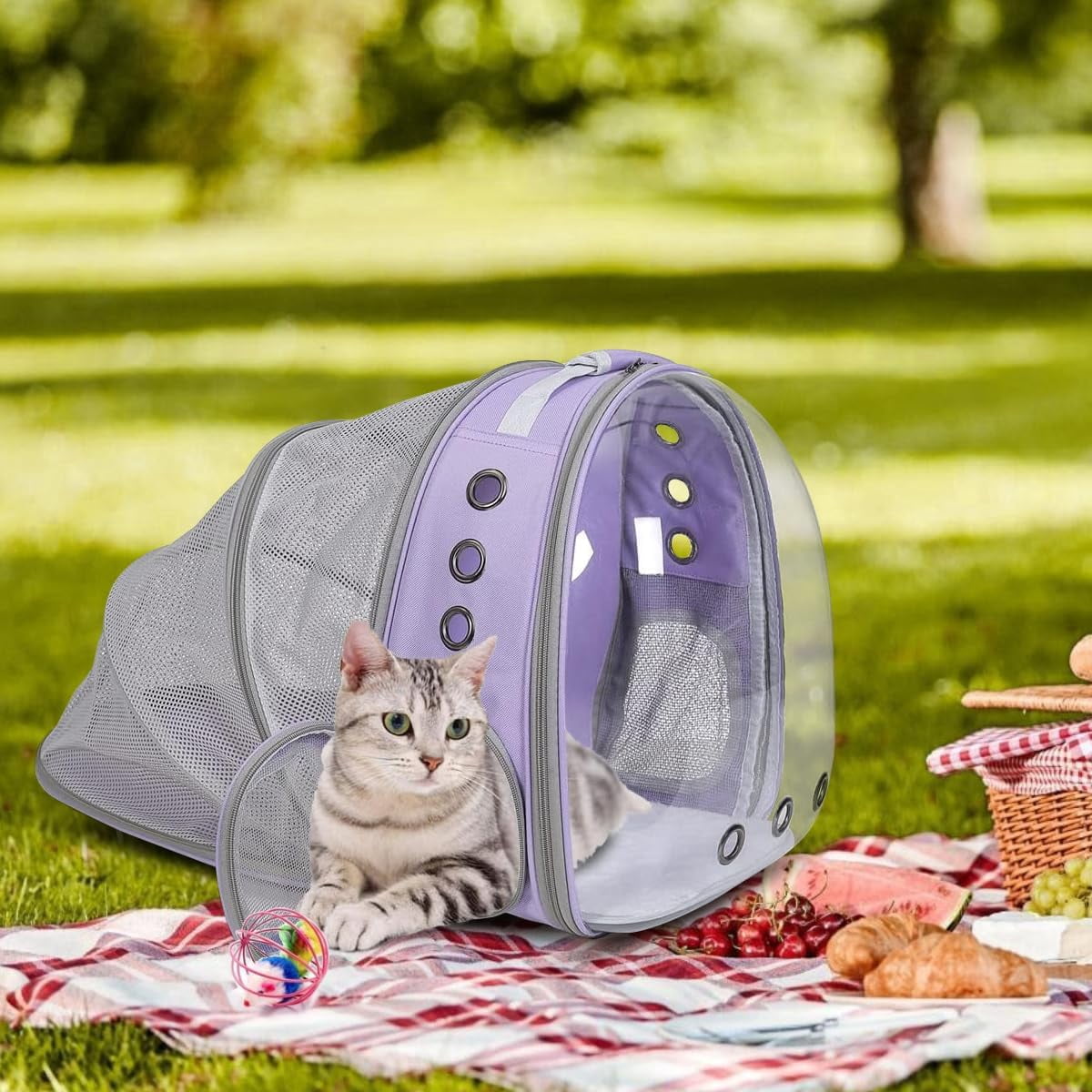 DENZUS Bubble Expandable & Foldable Cat Backpack Carrier, Breathable Pet Backpack for Large Cats, Designed for Hiking, Travelling, Camping