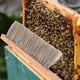 thumbnail image 4 of Cepillo de limpieza para colmenas Bee Sweeps, con mango de madera de PVC., 4 of 6