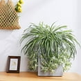 thumbnail image 3 of 2PCS Artificial Hanging Plants Fake Spider Plants Fake Silk Chlorophytum Wall Hanging Plants for Wall Indoor Outdoor Decor, 3 of 8