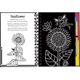 thumbnail image 5 of Scratch &amp; Sketch(tm) Garden Fairies (Trace Along), (Hardcover), 5 of 6