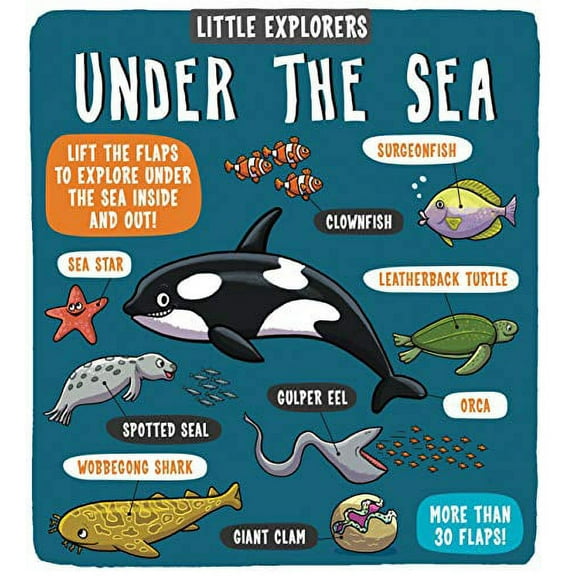 Little Explorers: Under The Sea
