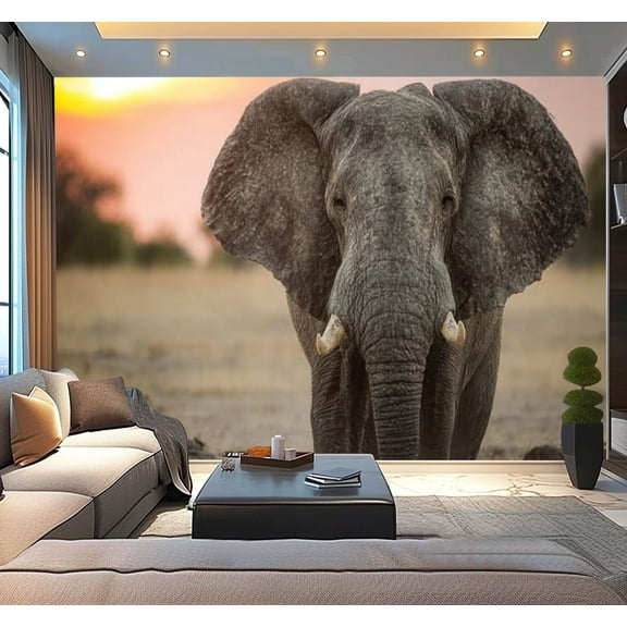 Peel and Stick Wallpaper An African elephant walking towards camera sunset Modern Art Wall Mural Decor Self Adhesive and Removable 100in x 144in