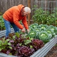 thumbnail image 2 of Amoboro 12x4x1ft Outdoor Metal Raised Garden Bed Planter Box for Vegetables, Flowers, Herbs 2pcs, 2 of 10