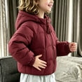 thumbnail image 6 of OGLCCG Hooded Puffer Jackets for Girls Lightweight Warm Quilted Winter Coat for Girls Full Zip Cute Down Jacket with Pockets(Wine,1-2 Years), 6 of 6