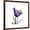 Brown Frame, variant on Art.com Grape Tulip Art Print by Albert Koetsier, 24" x 24"