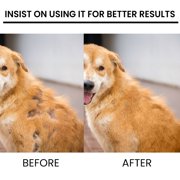 Dog Skin and Coat Health Supplements Liquid Spary Pet Hair Loss Treatments Helps Hair Loss Regrowth Works for Dogs Cats