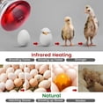 thumbnail image 4 of 2Pieces Heat Bulbs for Piglets Livestock and Reptiles Enclosures, 4 of 17