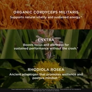 The Genius Brand Rise + Shine Nootropic – Cordyceps & Rhodiola Rosea – Caffeine-Free Energy & Mood Support – Focus, Clarity & Emotional Balance – 30 Servings