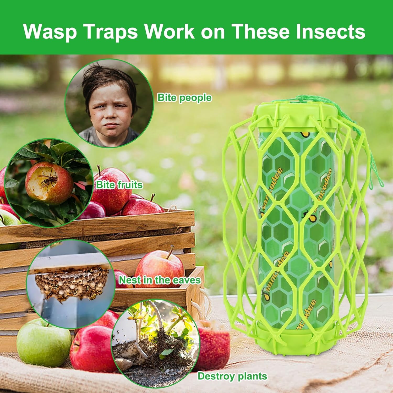 4 Pack Upgraded Wasp Trap Outdoor Hanging, Carpenter Bee and Hornet Catcher, Reusable Yellow Jacket Trap with Bait Reservoir, Bee Killer and Wasp Catcher for Outside (Green)
