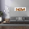 thumbnail image 3 of Epic Graffiti 'Rhodisian Ridgeback Puppies' by Barbara Keith, Canvas Wall Art, 60"x20", 3 of 8