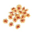 thumbnail image 2 of KLKCMS 20 Iron-on Patches For Decorative Sewing Clothing Yellow, 2 of 9