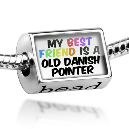 Bead My best Friend a Old Danish Pointer Dog from Denmark Charm Fits All European