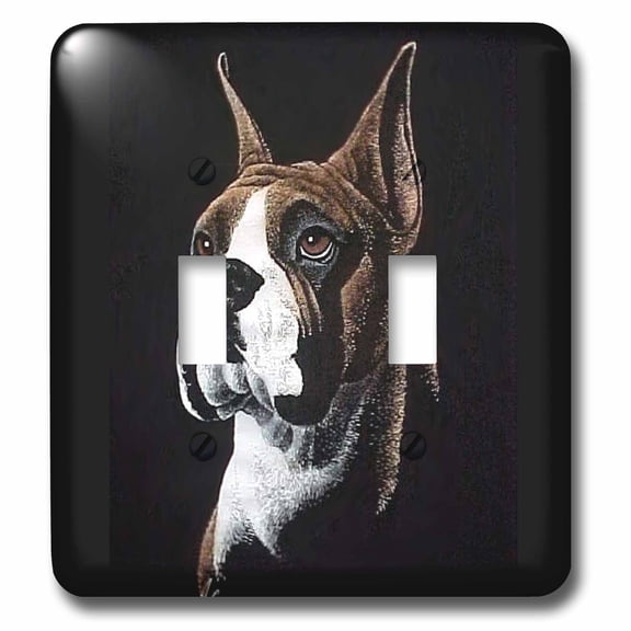 3dRose, Boxer, double toggle switch