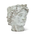 thumbnail image 1 of Abbott Collections AB-27-ATHENS-799 Pot de Tête Masculine 9 Po, Gris, 1 of 1