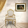 thumbnail image 3 of Schneidersmann, Anne 32x23 Gold Ornate Wood Framed with Double Matting Museum Art Print Titled - Born To Be Wild, 3 of 4