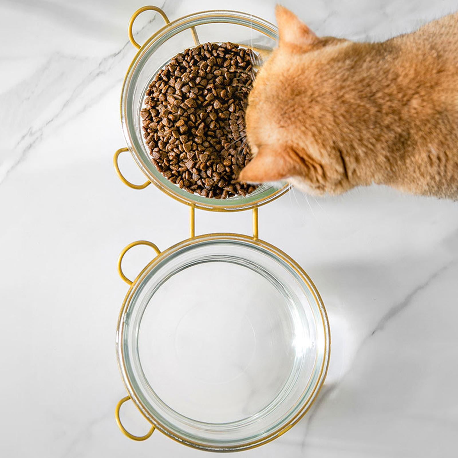 Durable Double Glass Raised Cat Bowls Anti with Stand Transparent Stand en