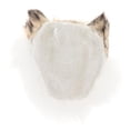 thumbnail image 3 of Juguete de Animales de Peluche de Gato de Simulación Adorno Sombrero de Mujer Accesorio de Bricolaje Oscuro, 3 of 9