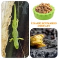 thumbnail image 3 of Luxshiny 30Ud Comedero Y Bebedero Para Geckos Y Reptiles Fácil De Limpiar Con Base Estable, 3 of 8