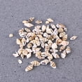thumbnail image 3 of FELTECHELECTR 500 piezas de conchas pequeñas para decoración del hogar, conchas marinas naturales, artesanías para pecera, acuario, boutique., 3 of 5