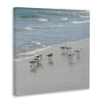thumbnail image 2 of Stupell Industries Rustic Lodge Sandpipers Flock Sandy Beach Shore Canvas Art, 30 x 30, by Natalie Carpentieri, 2 of 6