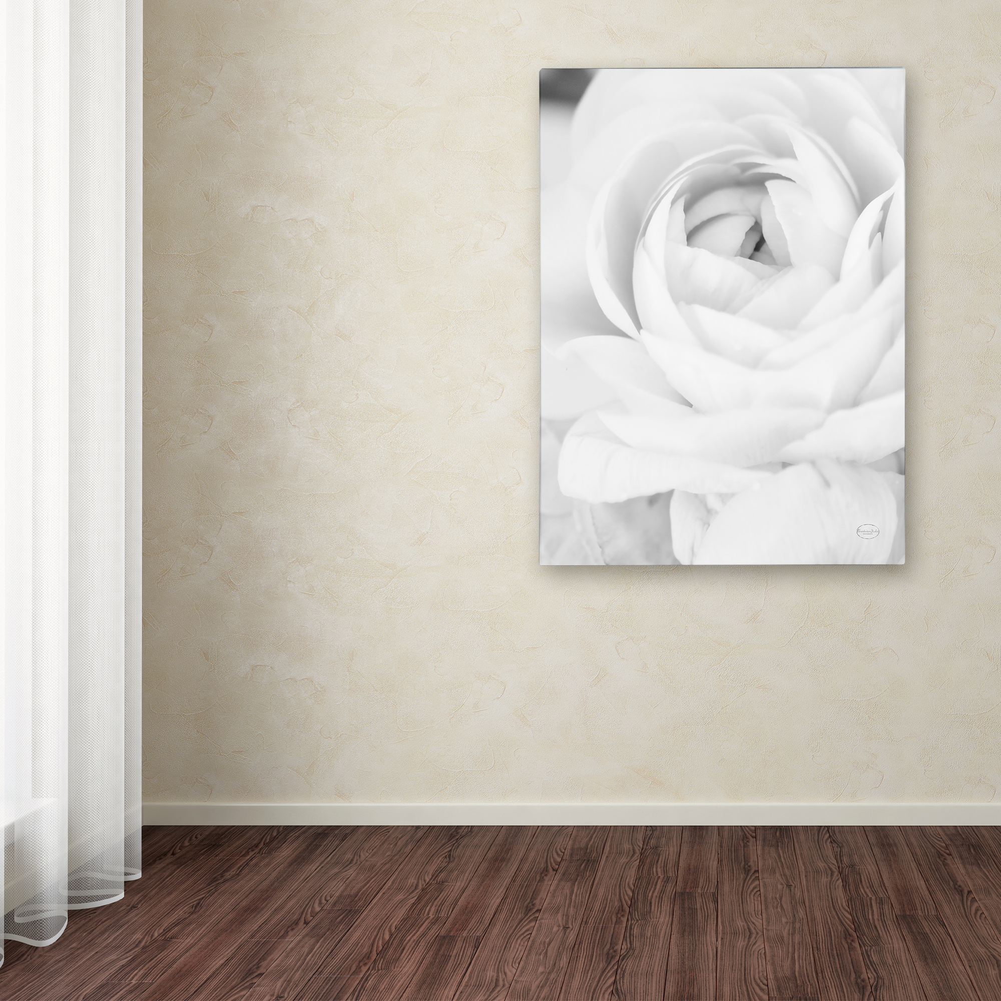 Black and White Petals III' Canvas Art by Brookview Studio