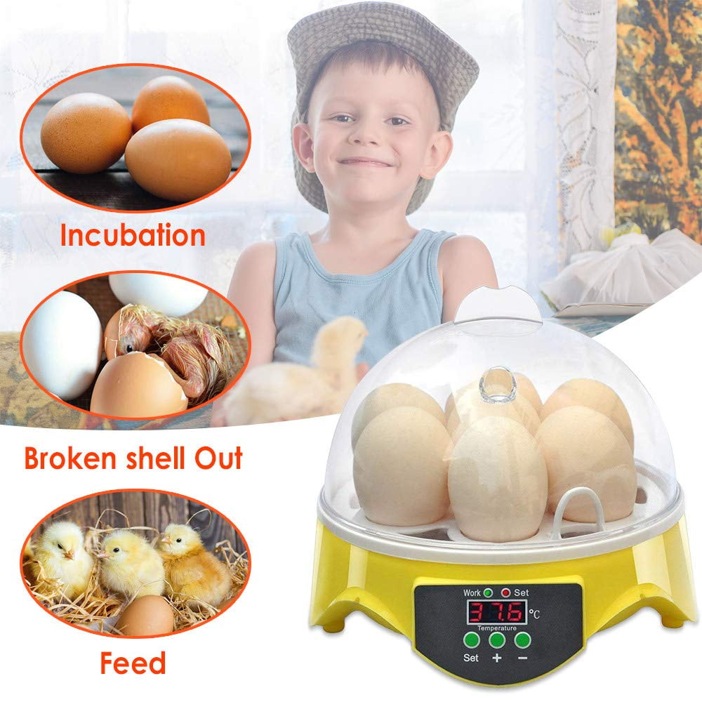 mini incubator for chicken eggs mini incubator for chicken eggs
