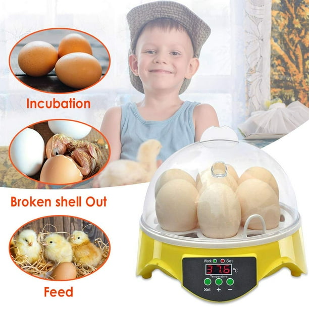 7 Eggs Mini Egg Incubator, Poultry Hatcher Machine with