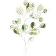 thumbnail image 3 of Vess, June Erica 19x24 Black Modern Framed Museum Art Print Titled - Sea Greens I, 3 of 5