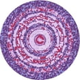 thumbnail image 1 of Ahgly Company Machine Washable Indoor Round Transitional Dark Orchid Purple Area Rugs, 6' Round, 1 of 7