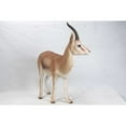 thumbnail image 4 of Hi-Line Gift Gazelle Statue 34.00 inch Garden Statue, 4 of 5