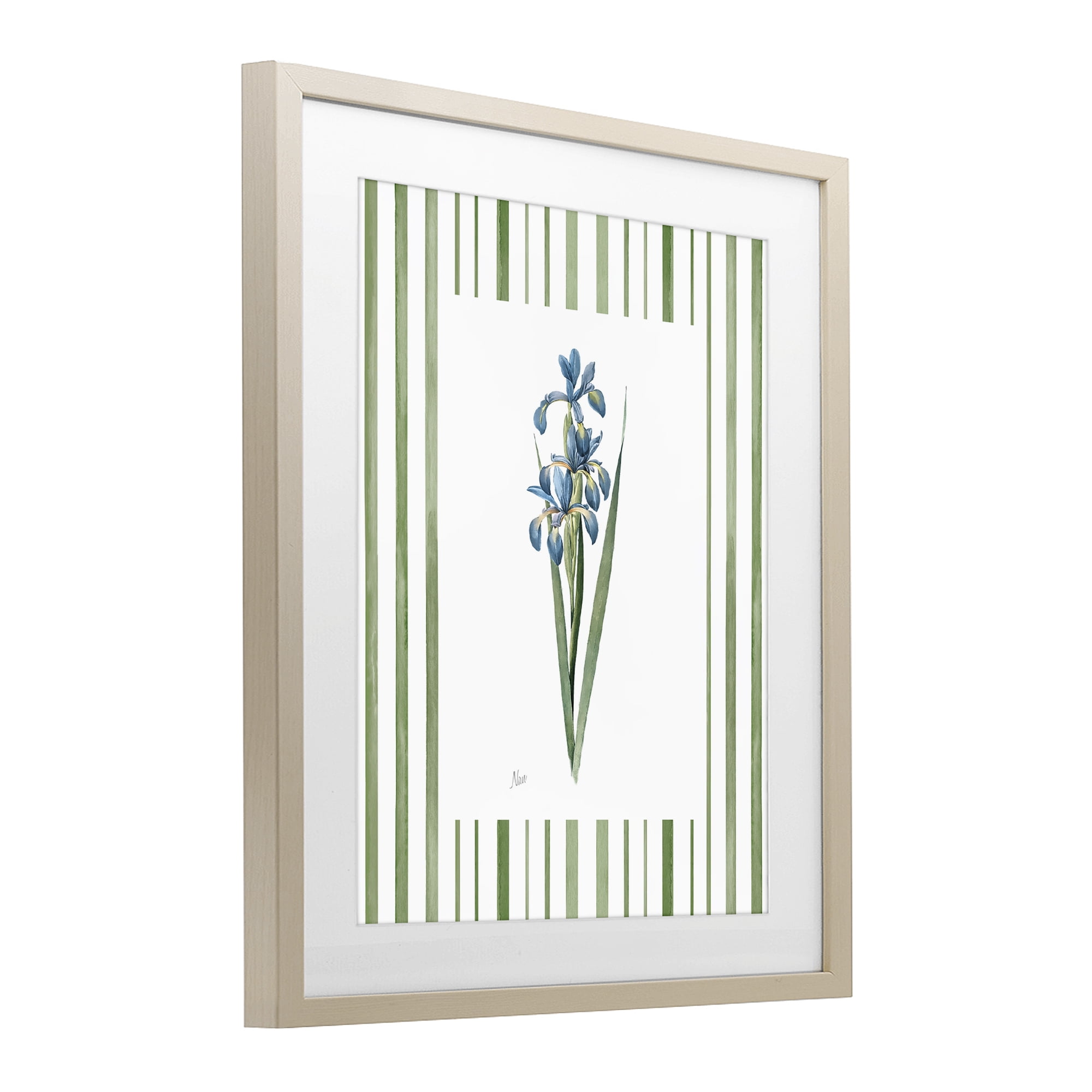 Stupell Industries Spring Irises with Stripes Birch Framed Print Under Glass, design by Nan