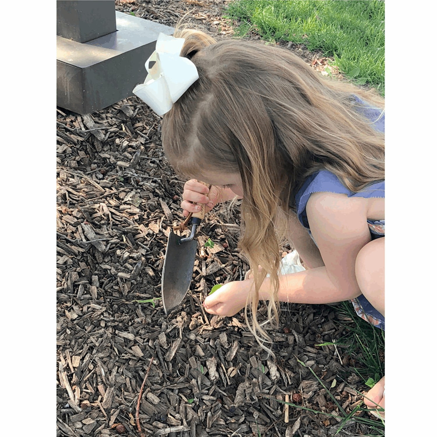 DeWit Junior Planting Trowel, Boron Steel and 9.5 Inch Long Ash Wood Handle, Fits Small Hands
